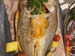 -龟兹KUCINA·新疆菜(前滩L+PLAZA店)