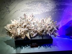 -甘肃地质博物馆