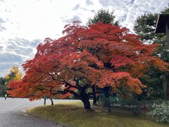 -京都御所