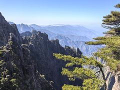 -巧手推拿中心(盲人推拿)