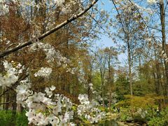 -上海共青森林公园