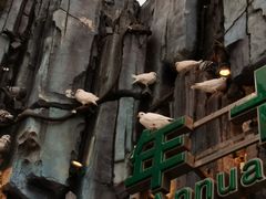 -大连森林动物园