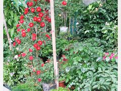 -金陵花卉交易市场