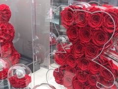 -ROSEONLY诺誓(沈阳万象城店)