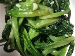 清炒油麦菜-茅炒屋龙虾·烧烤·湘菜(新河路店)