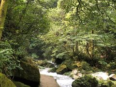 -西岭雪山大飞水景区