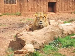 -昆明动物园