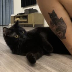 -雕哥的纹身店A3 TATTOO&纹身培训