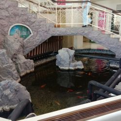 -五洲妇儿医院