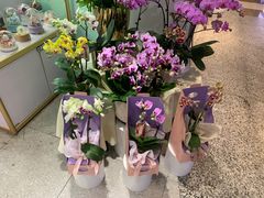 -EPOQUE·一刻花店(兴业太古汇店)