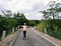 -南宁良凤江国家森林公园