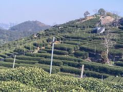 -国生茶庄·地道农家菜团建活动