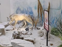 -西霞口神雕山野生动物世界