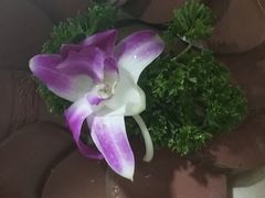 -蜀大侠火锅(香格里拉店)