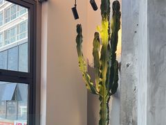 -范儿·嫂子烤肉·精致炭火烤肉(长治路店)