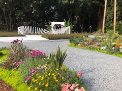 -人民公园(罗湖区)