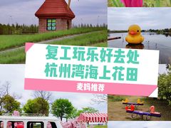 -杭州湾海上花田景区