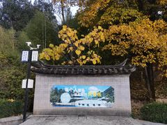 -黑龙潭公园