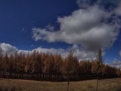 -塞罕坝国家级自然保护区