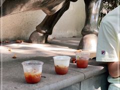 -O.P.S. CAFE