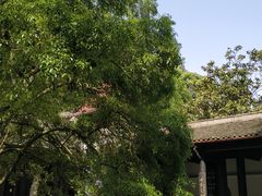 -白鹿洞书院