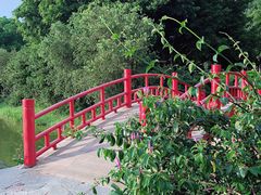 -东莞植物园