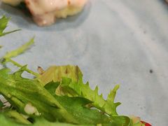 -尊品牛排(沙湾印象汇店)