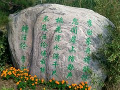 -武清南湖绿博园