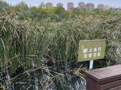 -前关湿地公园