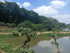 -南国桃园旅游度假区