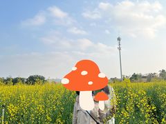 -光明小镇欢乐田园