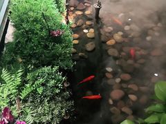 大堂-丰茂烤串(金泉美食宫店)