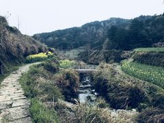 -灵山景区梯田