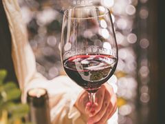 -wineapp葡萄酒餐吧(外滩金融中心店)