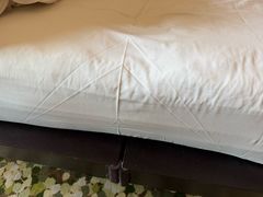 -上海崇明金茂凯悦酒店