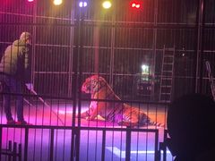 -威海华夏城景区