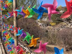 -北京西山国家森林公园