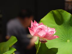 -淮扬府·游园京梦(北京SKP店)