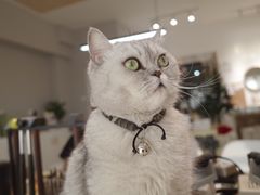 -Oasis绿洲银饰珍珠手作diy(壹方城店)