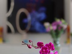 -皓齿连锁·雅贝健口腔·种植·矫正中心(虹口曲阳路店)