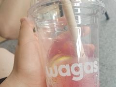 -Wagas沃歌斯(五道口购物中心店)