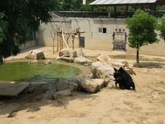 -石家庄市动物园