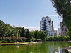 -团结湖公园