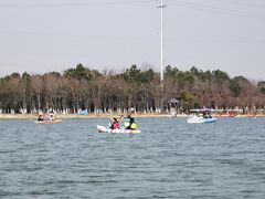 -上海海湾国家森林公园