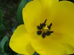 -长春公园(普阳街道)