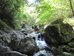 -沣峪口