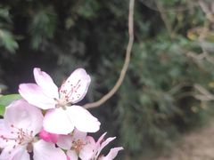 -白鹭湾湿地公园