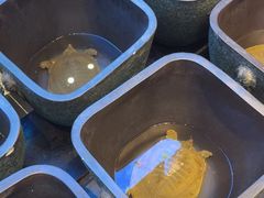 -烹湘·鲜炒湖南土菜(海珠店)