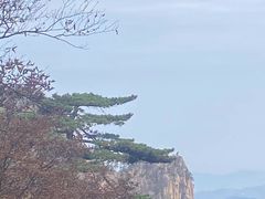 -黄山风景区