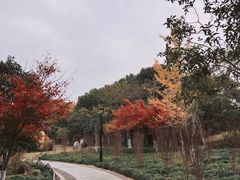 -杭州城北体育公园